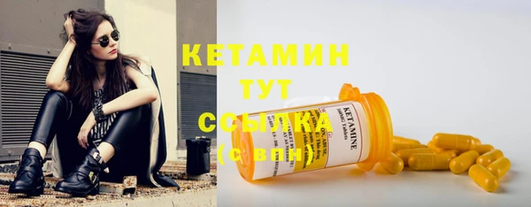 индика Белокуриха