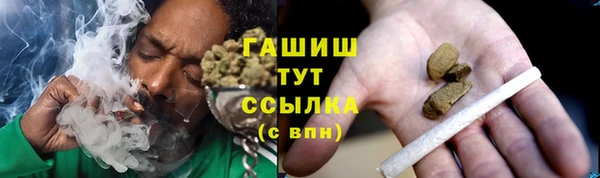 индика Белокуриха