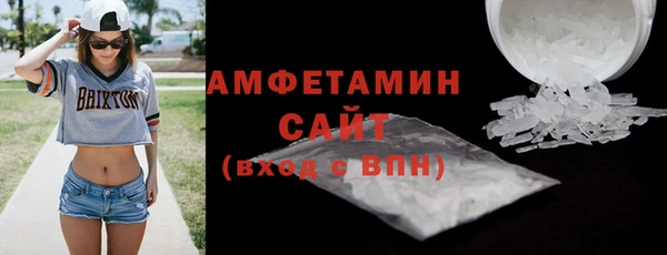 индика Белокуриха