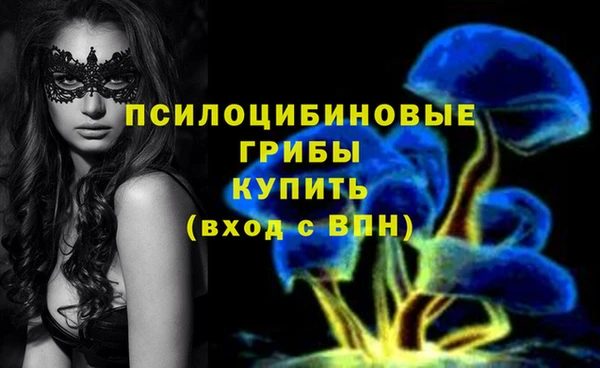 индика Белокуриха