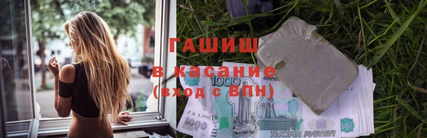 индика Белокуриха