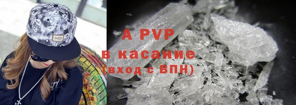 индика Белокуриха