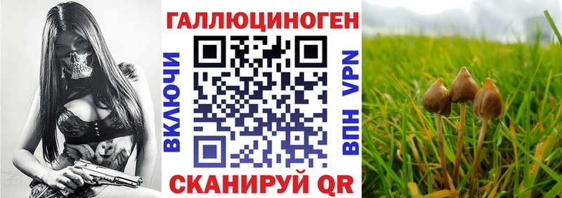 Галлюциногенные грибы Cubensis  Володарск 